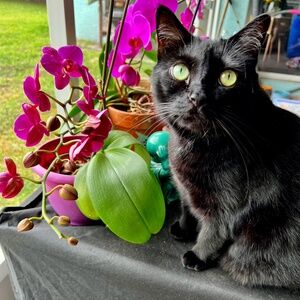 Meet your Posher, Melanie